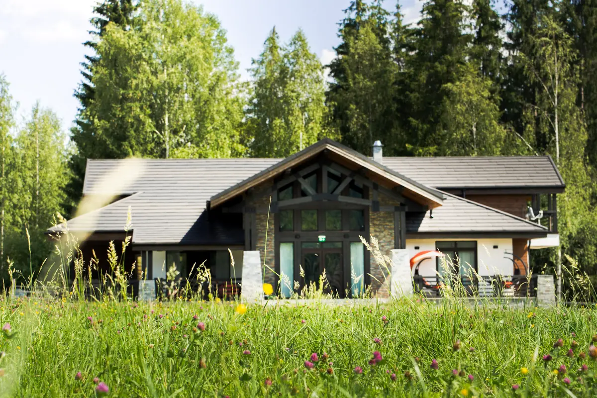 Chalet Deluț văzut din poiana cu flori de câmp
